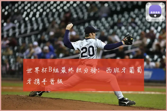 世界杯B组最终积分榜:西班牙葡萄牙携手晋级