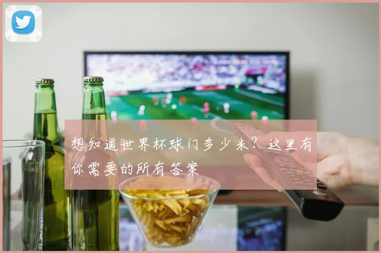 想知道世界杯球门多少米?这里有你需要的所有答案