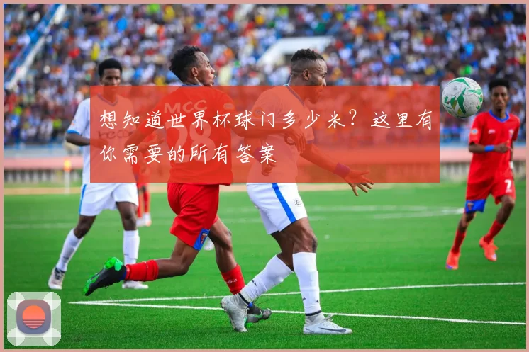 想知道世界杯球门多少米?这里有你需要的所有答案
