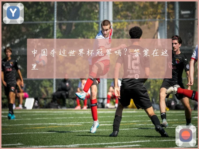 中国夺过世界杯冠军吗?答案在这里
