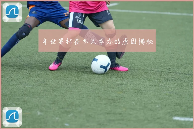 年世界杯在冬天举办的原因揭秘