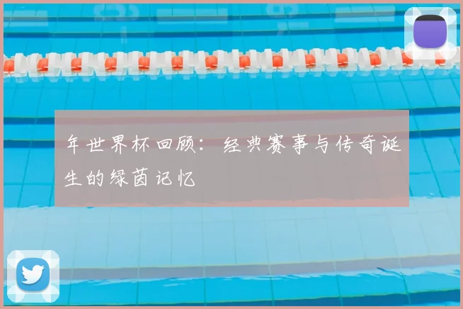 年世界杯回顾：经典赛事与传奇诞生的绿茵记忆