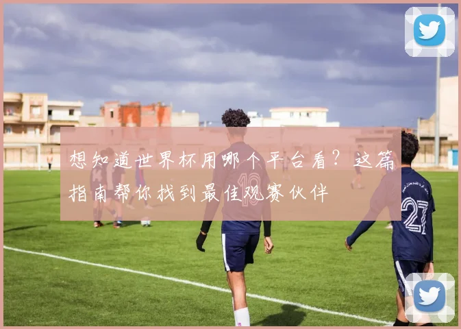 想知道世界杯用哪个平台看?这篇指南帮你找到最佳观赛伙伴