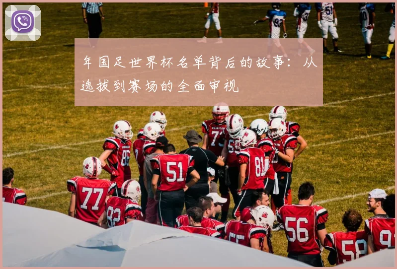 年国足世界杯名单背后的故事:从选拔到赛场的全面审视