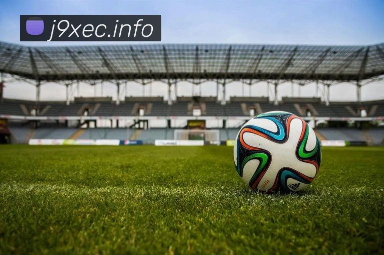 九游j9官网登陆平台生态图